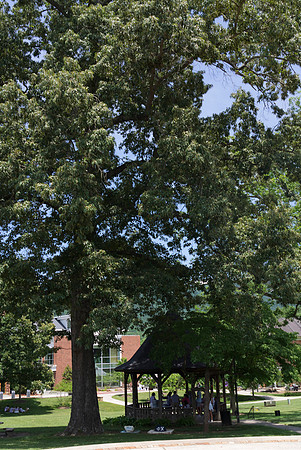 YHC_Orientation0275_1